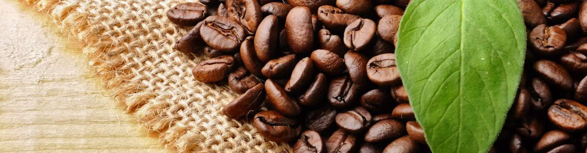 coffee-beans