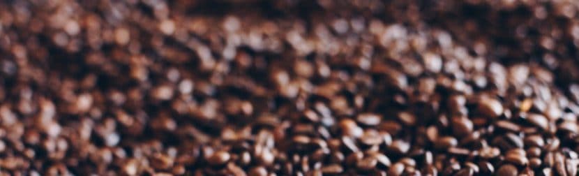 Krups GX5000 vs Cuisinart DBM 8: Which Coffee Grinder is the Best Value? Krups GX5000 vs Cuisinart DBM 8: Which Coffee Grinder is the Best Value?